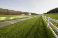 Rural Pasture in Tennessee: A Tranquil Scene of Agriculture