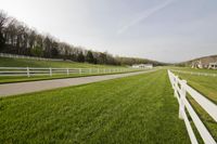 Rural Pasture in Tennessee: A Tranquil Scene of Agriculture