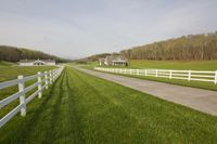 Rural Pasture in Tennessee: A Tranquil Scene of Agriculture