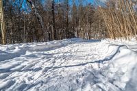 a path leads into a deep snow covered forest area on a sunny day with no clouds in the sky