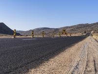 Rural Plain: A Road Lined with Vibrant Vegetation