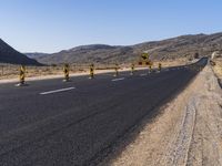 Rural Plain: A Road Lined with Vibrant Vegetation