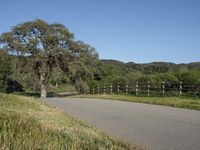 Rural Property: Lush Green Pasture