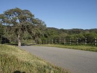 Rural Property: Lush Green Pasture