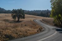 Rural Road with Asphalt Through a Picturesque Landscape