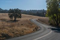 Rural Road with Asphalt Through a Picturesque Landscape