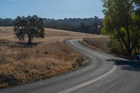 Rural Road with Asphalt Through a Picturesque Landscape