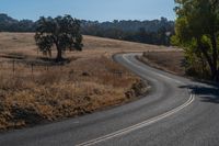 Rural Road with Asphalt Through a Picturesque Landscape