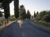 Rural Road in Tuscany: Asphalt Amidst Beautiful Landscape