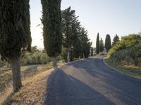 Rural Road in Tuscany: Asphalt Amidst Beautiful Landscape