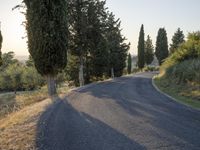 Rural Road in Tuscany: Asphalt Amidst Beautiful Landscape