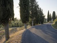 Rural Road in Tuscany: Asphalt Amidst Beautiful Landscape