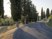 Rural Road in Tuscany: Asphalt Amidst Beautiful Landscape