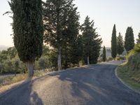 Rural Road in Tuscany: Asphalt Amidst Beautiful Landscape