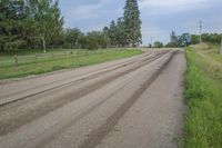 a dirt road near a field with many trees and green grass around it and some tall grass growing