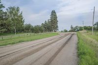 a dirt road near a field with many trees and green grass around it and some tall grass growing