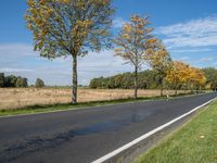 an empty rural road is covered in leaves on a sunny autumn day, with trees lining the roadside