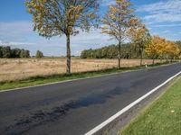 an empty rural road is covered in leaves on a sunny autumn day, with trees lining the roadside