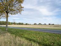 an empty country road that passes by a grassy field and tree with yellow leaves, near some trees