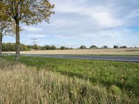 an empty country road that passes by a grassy field and tree with yellow leaves, near some trees