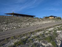 Rural Road in California: Asphalt Line in the Landscape