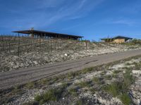 Rural Road in California: Asphalt Line in the Landscape