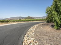 Rural Road in California: Tranquility Under a Clear Sky