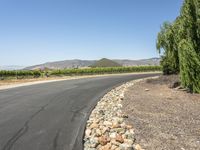 Rural Road in California: Tranquility Under a Clear Sky