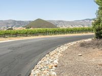 Rural Road in California: Tranquility Under a Clear Sky