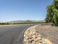 Rural Road in California: Tranquility Under a Clear Sky