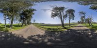 the same photo, taken on the other side of the camera, shows different trees and fields