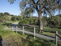 Rural Road in California Landscape Green - 001