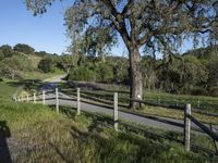 Rural Road in California Landscape (Green 002)