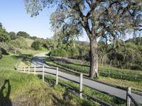 Rural Road in California Landscape, Green 004