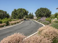 Rural Road in California: A Scenic Landscape in Nature