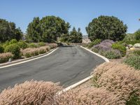 Rural Road in California: A Scenic Landscape in Nature