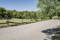 Rural Road Under Clear Sky: A Serene Landscape