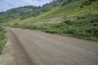 a empty road with yellow flowers on the side of it next to a green mountain