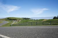 Rural Road in the Countryside on a Sunny Spring Day