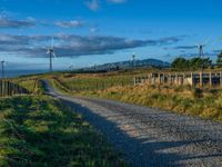 Rural Road at Dawn Amidst Agriculture and Green Fields