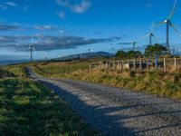 Rural Road at Dawn Amidst Agriculture and Green Fields