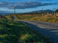 Rural Road at Dawn Amidst Agriculture and Green Fields