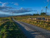 Rural Road at Dawn Amidst Agriculture and Green Fields