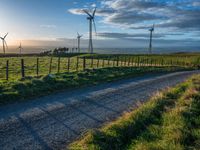 Rural Road at Dawn: Surrounded by Greenery and Agricultural Fields