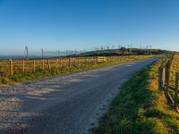 Rural Road at Dawn: Greenery Fields