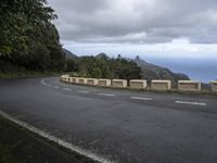 empty road with scenic scenic views over ocean and trees in background, on cloudy day