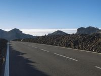 Rural Road in Europe: Embracing Nature and Lush Vegetation