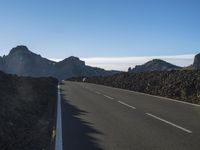 Rural Road in Europe: Embracing Nature and Lush Vegetation