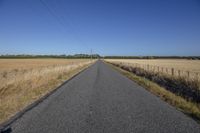 a single person is riding a bike down the road beside a large open field of wheat