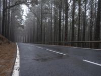 Rural Road Through Forest with Low Visibility